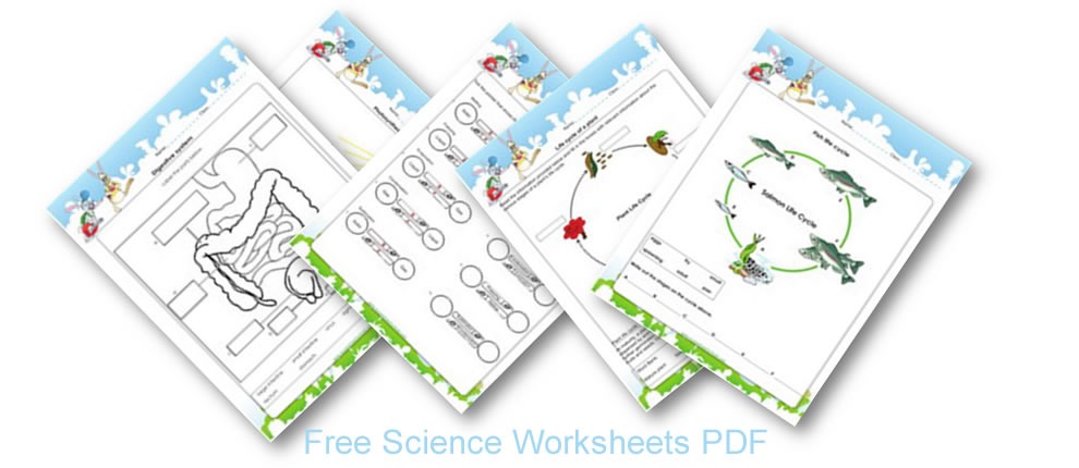 Ecosystem For Kids, Science Activities For Kids 1st To 5th Grades