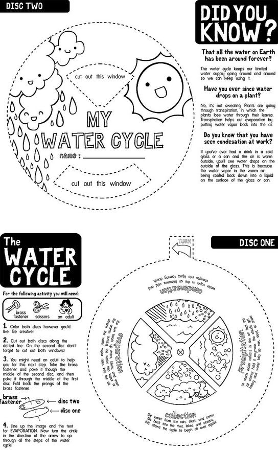 Water Cycle Worksheets B W