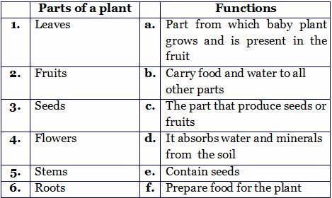 Types Of Plants Practice Sheets For Science Grade 2 Cbse