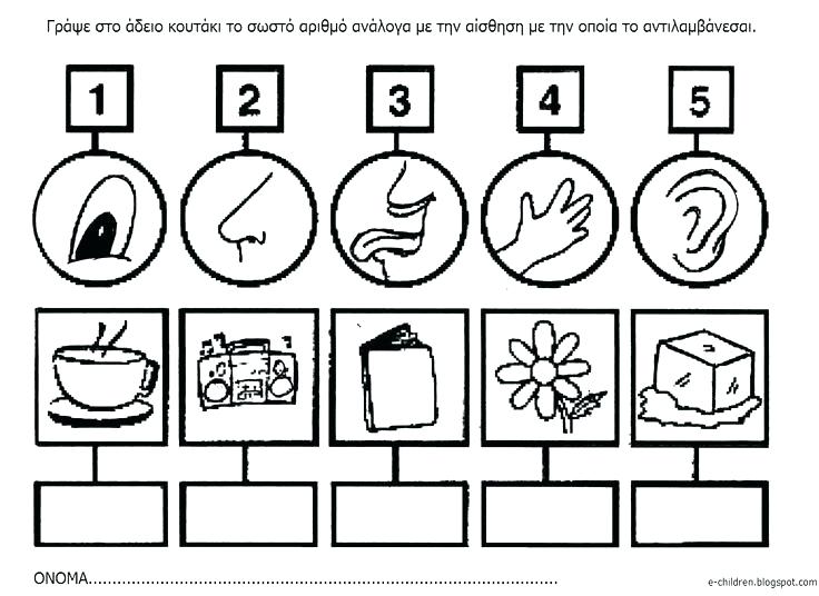 And Worksheets For Kindergarten Free Five Senses Printable Number