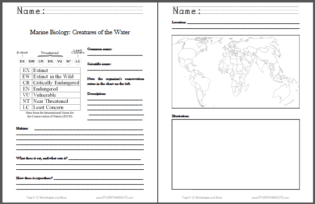 Marine Biology Fact Sheet For Kids
