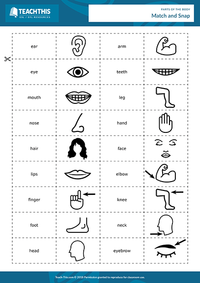 Parts Of The Body Esl Games Activities Worksheets