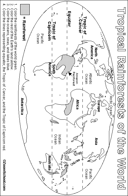Rainforest Map Printout