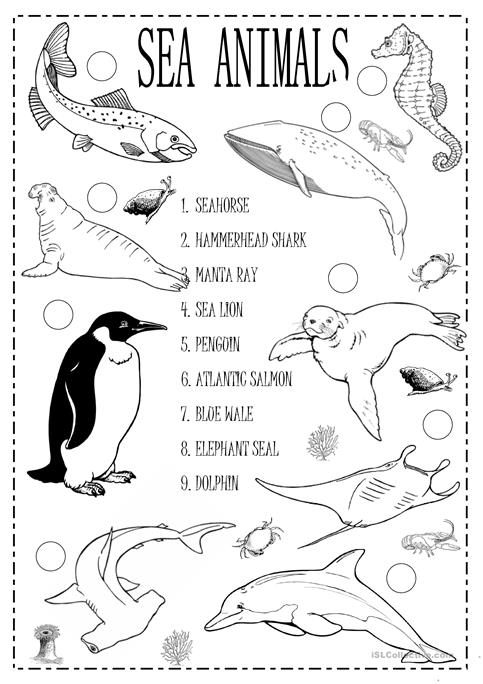 81 Free Esl Sea Animals Worksheets