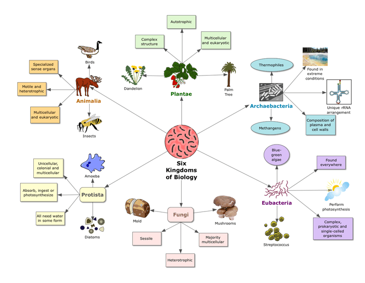 Use These Science Examples To Integrate Inspiration Into Your