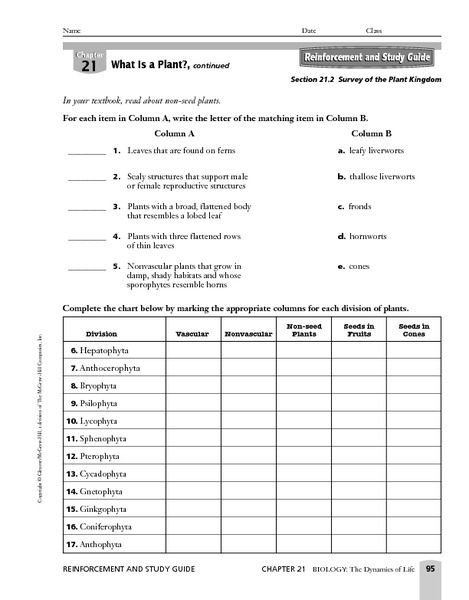 The Six Kingdoms Of Life Review Sheet Answers