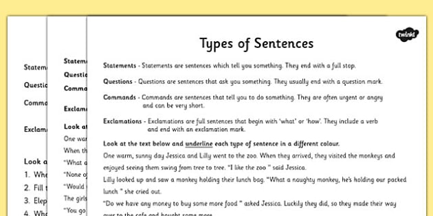 Types Of Sentences Differentiated Activity Worksheet