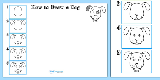 How To Draw A Dog