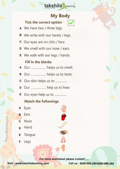 Worksheets For Class 1 Evs Ncert & Cbse