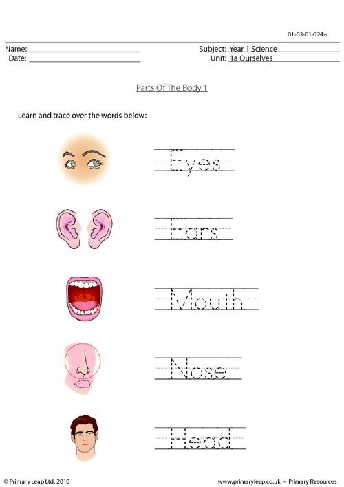 Parts Of The Body 1
