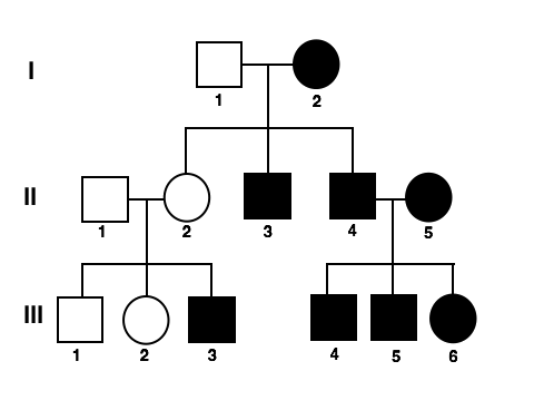 Pedigrees (practice)