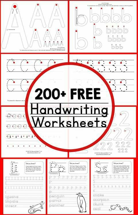 Pin By Amy Chubak On Kindergarten