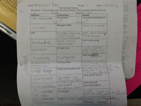 Manasi V (vatsmanasi) On Free Worksheets Samples