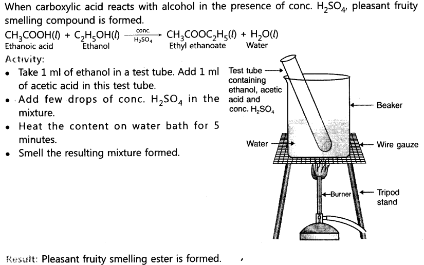 Important Question For Class 10 Science Carbon And Its Compounds