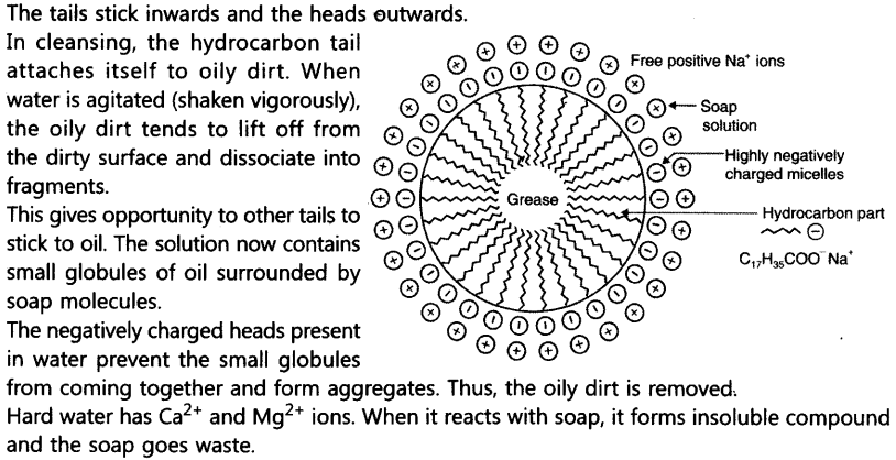 Important Question For Class 10 Science Carbon And Its Compounds