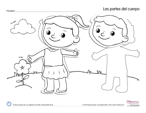 Body Parts  3s Printables