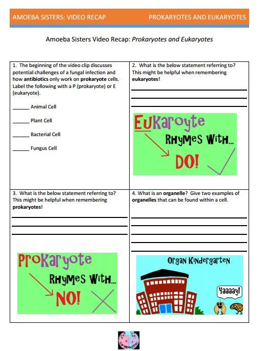 Prokaryote And Eukaryote Handout Made By The Amoeba Sisters  Click