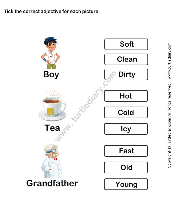 Describing Words Worksheet 14