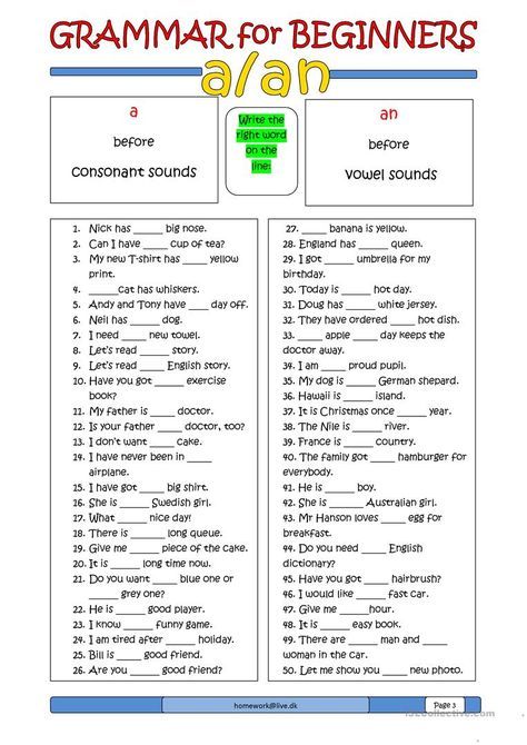 Grammar For Beginners  A Or An Worksheet