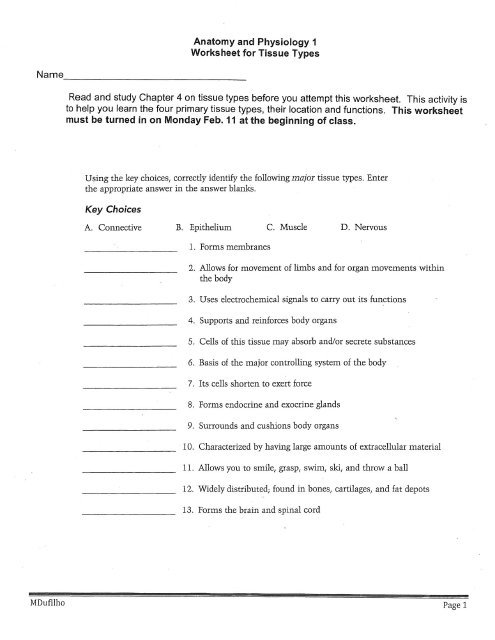 Anatomy And Physiology 1 Worksheet For Tissue Types
