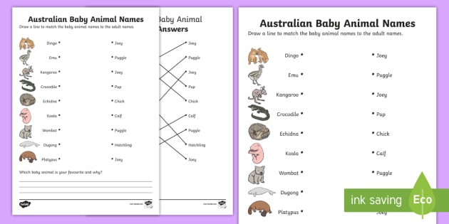 Australian Baby Animal Names Worksheet   Worksheet