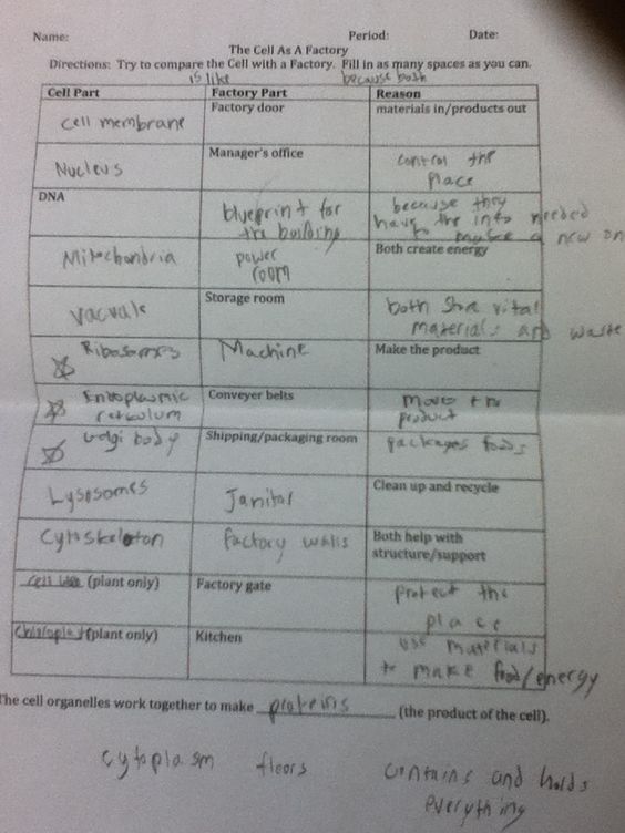 Nigel E (flirp83) On Free Worksheets Samples