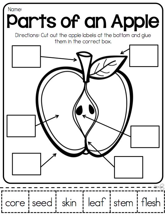 Pin By Mary Pflugrath On School Projects