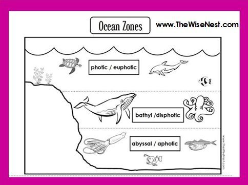 Tweet Tweetuse This Worksheet As A Way To Introduce, Teach And