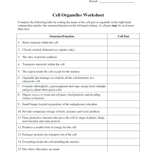 Cells Organelles Worksheet Cells And Organelles Worksheet Answer