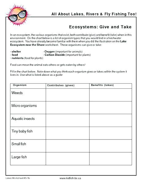 Ecology Worksheets For High School