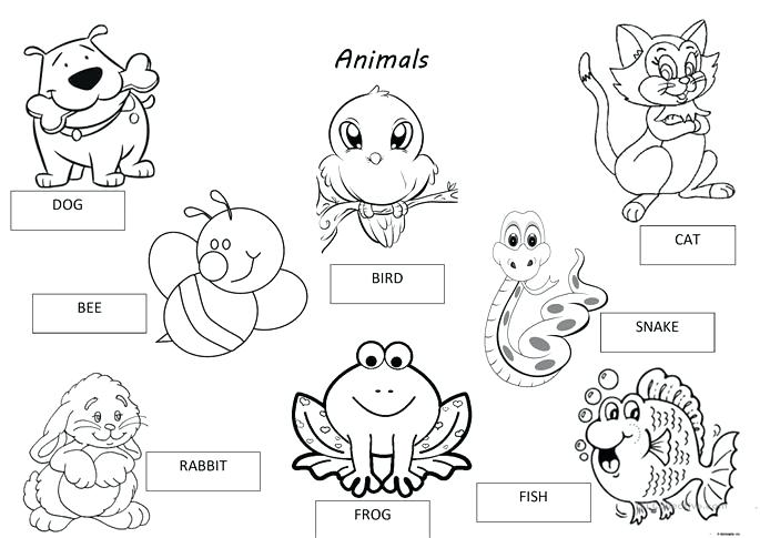 Free Worksheets For Grade Adjectives Pet Animals Worksheet