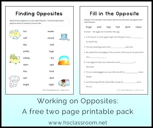 Opposites Worksheet Antonyms Worksheets Pdf For Grade 5 â Gongapp Co
