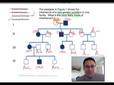 Pedigree Analysis 2  How To Solve A Genetic Pedigree  Example No