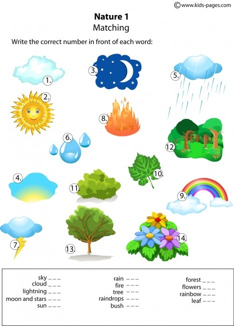 Nature Matching 1 Worksheet