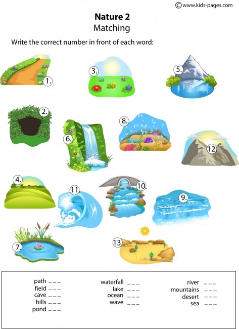 Nature Matching 2 Worksheet