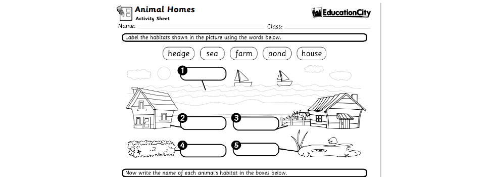 Worksheets On Animals & Their Habitats