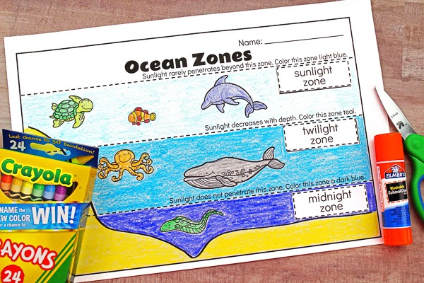 Ocean Zones For Kids  Learning About The Amazing Ocean