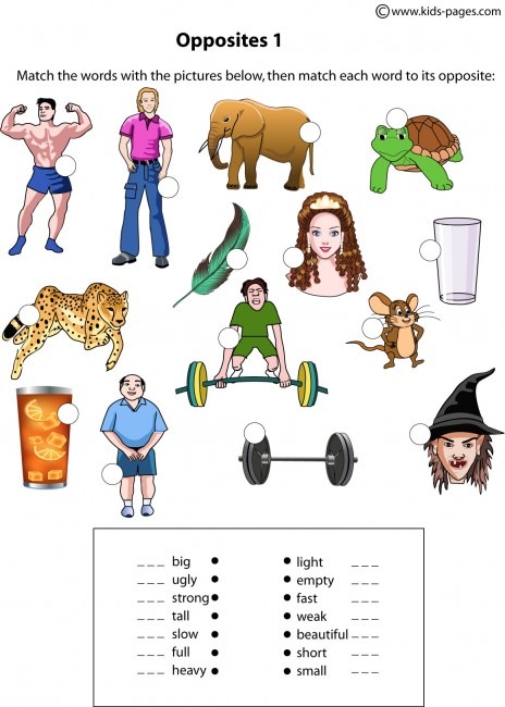 Opposites Matching 2 Worksheet