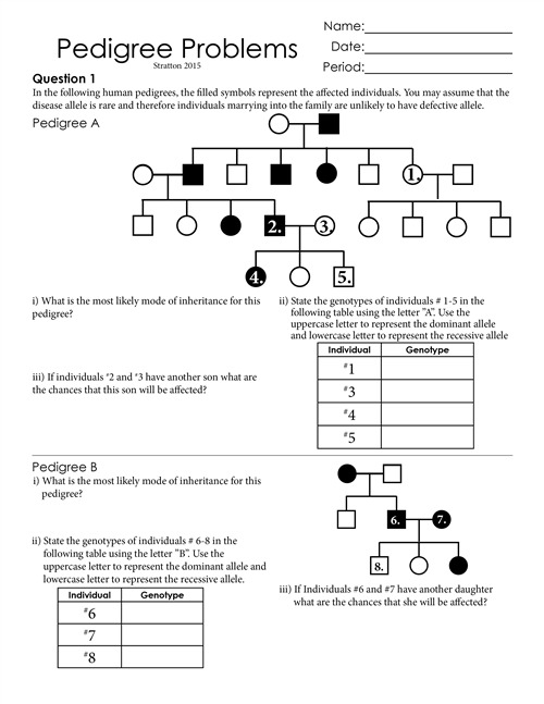 Pedigree Practice Worksheets