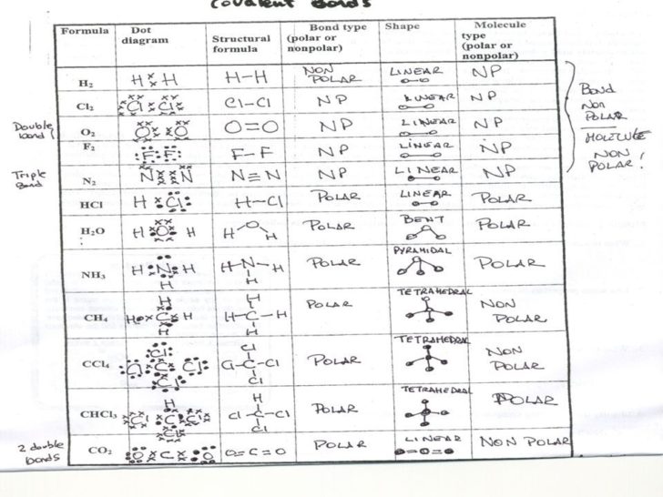 Polyatomic Ions Worksheet With Answers | Free Worksheets Samples
