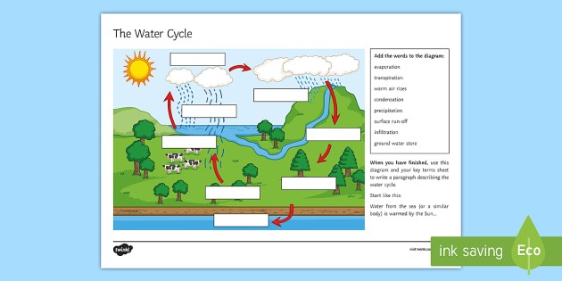 The Water Cycle Worksheet   Worksheet