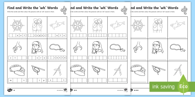 Find And Write The Wh Words Differentiated Worksheets