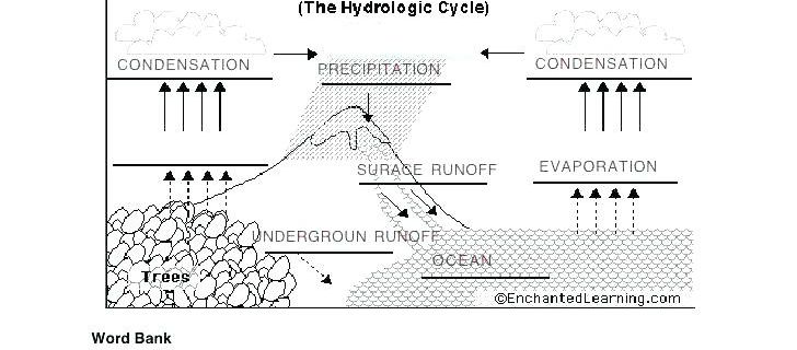 Water Cycle Worksheet Middle School Super Science 8