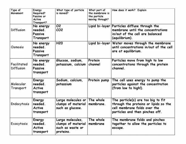 Brilliant Ideas Of Cell Membrane And Transport Worksheet Answers