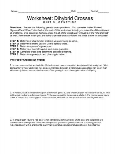 Monohybrid Cross Worksheet