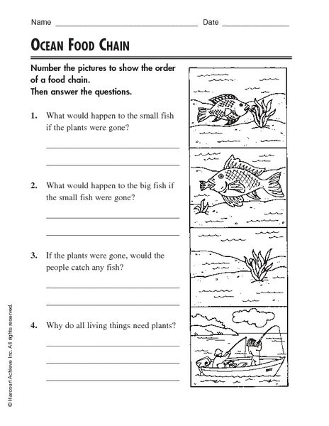 Worksheet  Free Food Chain Worksheets  Caytailoc Free Printables