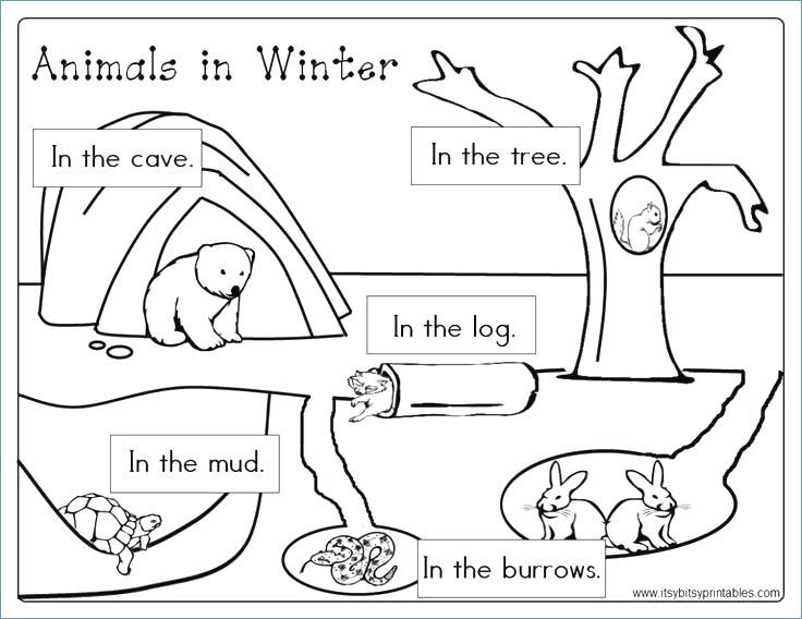 Animals In Winter Printable Worksheetsf Free Worksheets Samples