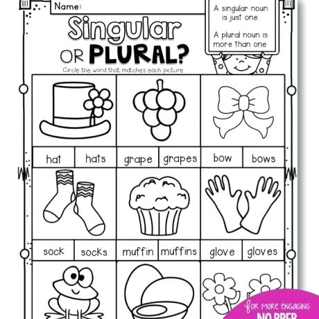 1st Grade Nouns Worksheet Singular And Plural Nouns Worksheets Pdf