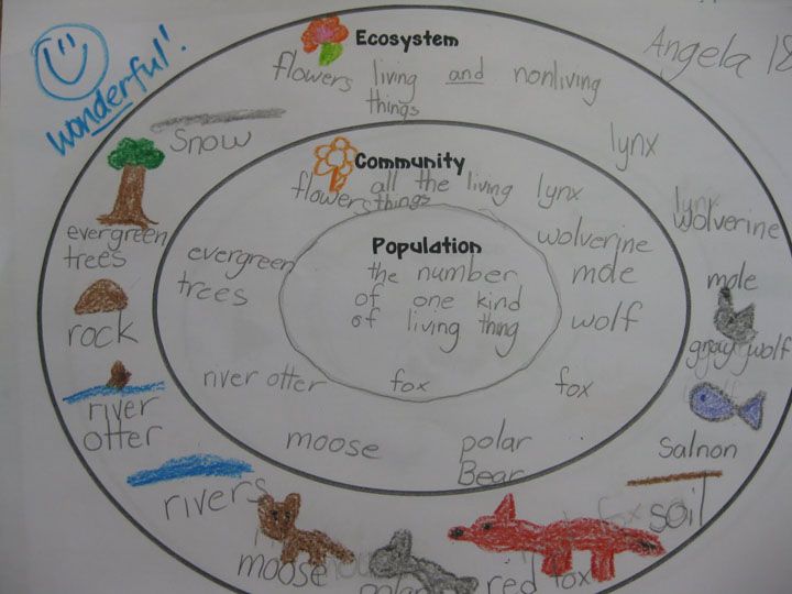 Ecosystem, Community, And Population