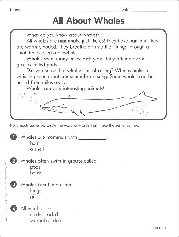 Worksheet 5 grade. Reading Comprehension Worksheets 5 класс. Texts for 5 Grade по английскому. Reading Comprehension Worksheets 4 класс. Read Worksheets 5 класс.